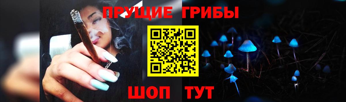 Камень-на-Оби  Галлюциногенные грибы Magic Shrooms  Галлюциногенные грибы мицелий  Вход с VPN 
